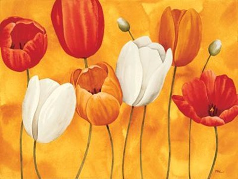 Framed Festa Di Tulipani Print