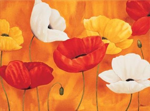 Framed Festa Di Papaveri Print