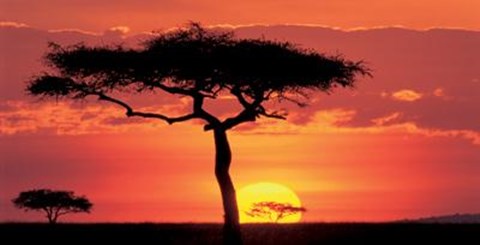 Framed Masai Mara Plains, Kenya Print