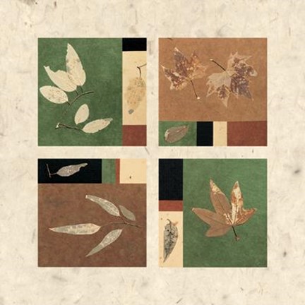 Framed Nature&#39;s Seasons I Print