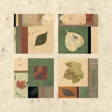 Framed Nature's Seasons II Print