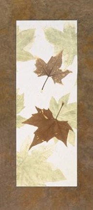 Framed Falling Leaves III Print