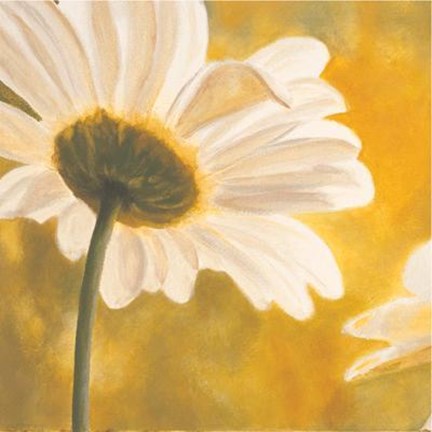 Framed Marguerites Dans Le Soleil I Print