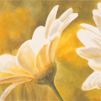 Framed Marguerites Dans Le Soleil II Print