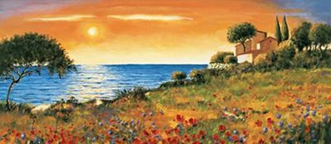 Framed Sunlight Coast Print