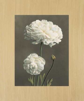 Framed Dalie Print