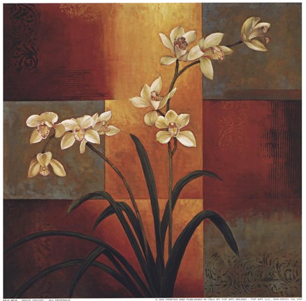 Framed White Orchid Print