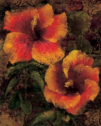 Framed Hibiscus I Print