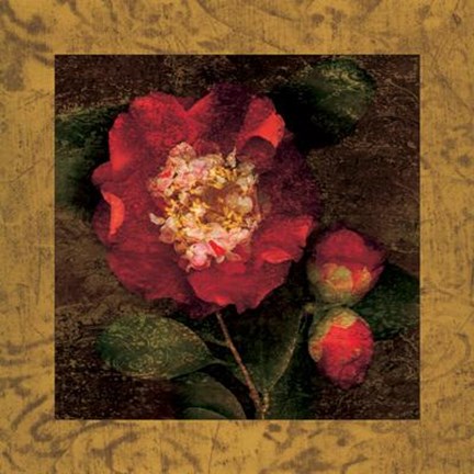 Framed Red Camellias I Print