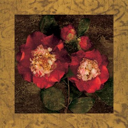 Framed Red Camellias II Print