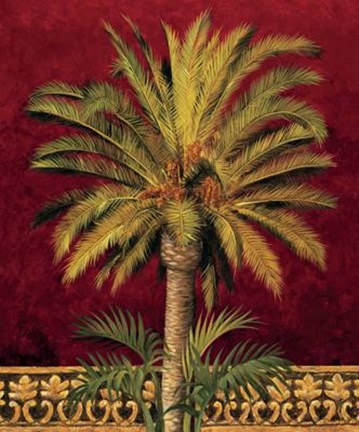 Framed Canary Palm Print