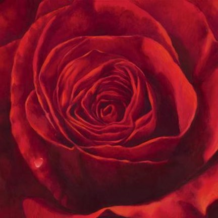 Framed Passione Print