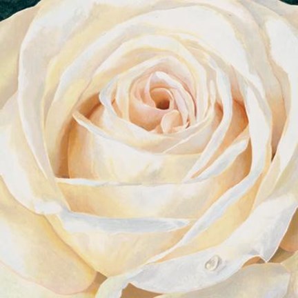 Framed Eleganza Print