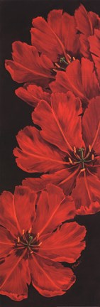 Framed Bella Grande Tulips Print