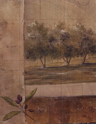 Framed Olive Groves I Print
