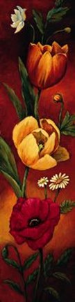 Framed Flower Garden II Print