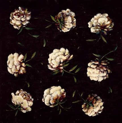 Framed Study In White Print