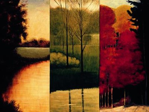 Framed Point Of View I Print