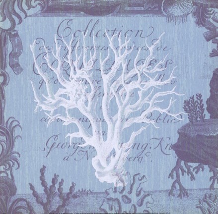 Framed Seaside Coral III Print