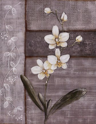 Framed Orchid Shimmer I Print