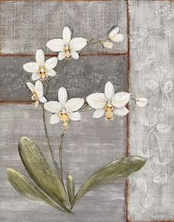 Framed Orchid Shimmer II Print