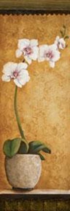 Framed Hanna's Orchids I Print