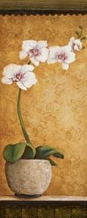 Framed Hanna's Orchids I - Petite Print
