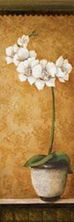 Framed Hanna's Orchids II Print