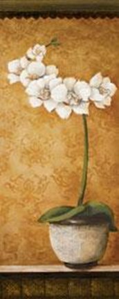 Framed Hanna's Orchids II - Petite Print