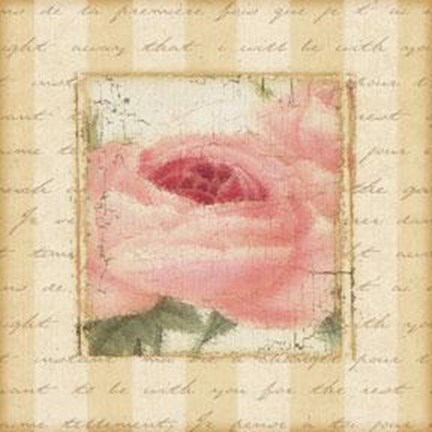 Framed Rose Romance I Print