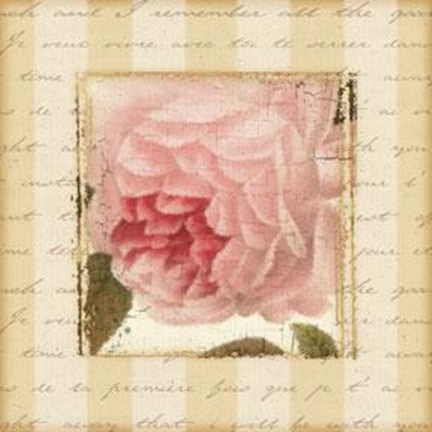 Framed Rose Romance II Print