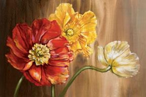 Framed Poppies Print
