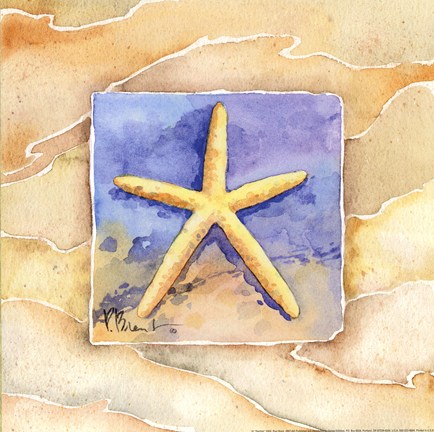 Framed Starfish Print