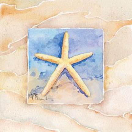 Framed Starfish - Mini Print