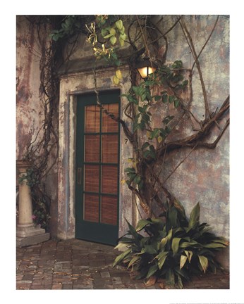 Framed Door No7 Print