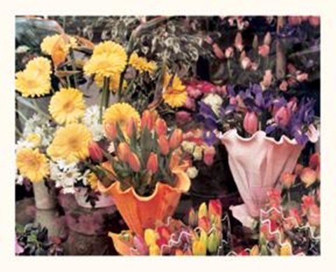 Framed Flowers, Florence Print