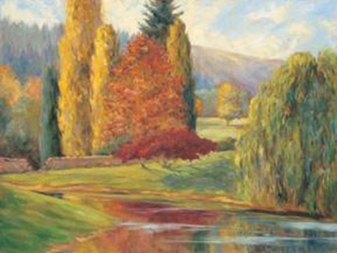 Framed Nature's Splendor I Print