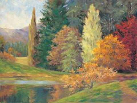 Framed Nature's Splendor II Print