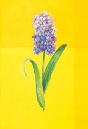 Framed Flower On Yellow Print