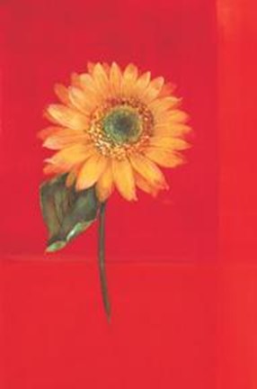 Framed Flower On Red Print