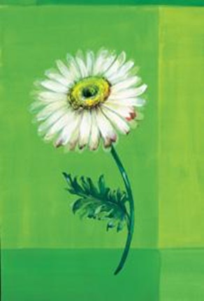 Framed Flower On Green Print
