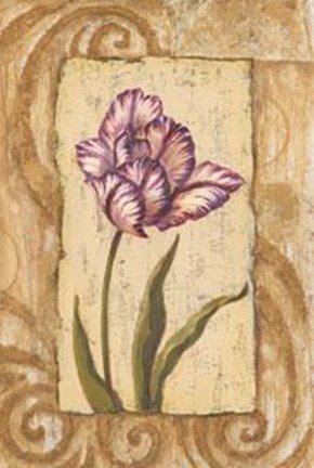 Framed Classic Tulip I Print