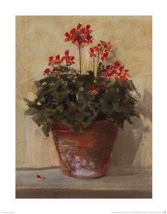 Framed Potted Geraniums I Print