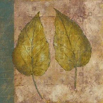 Framed Nature Study 3 Print