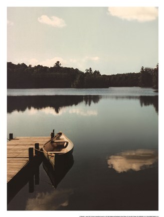 Framed Plenitude I Print