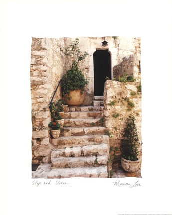 Framed Steps 'N Stones Print