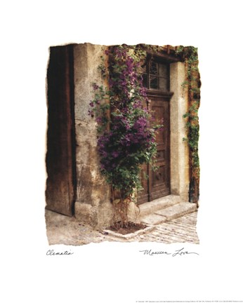 Framed Clematis Print