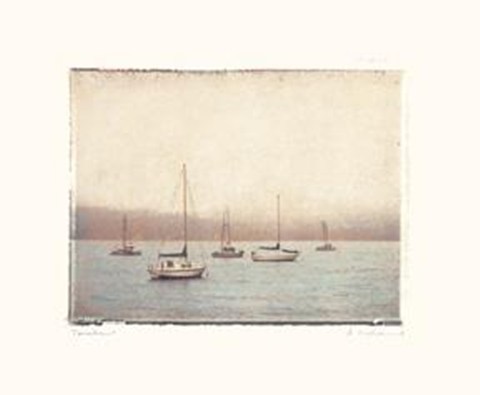 Framed Tomales Print