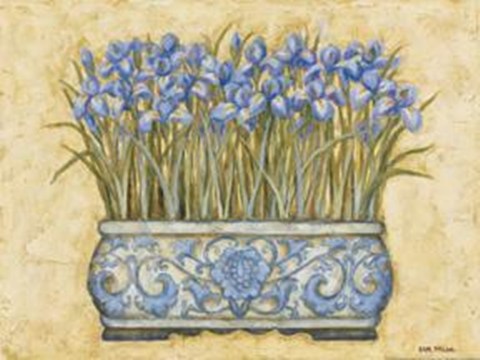 Framed Blue Irises Print