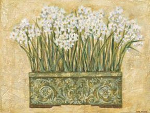 Framed White Narcissus Print